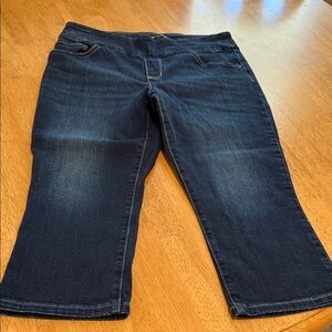 Lee Midnight Blue Cropped Jeans